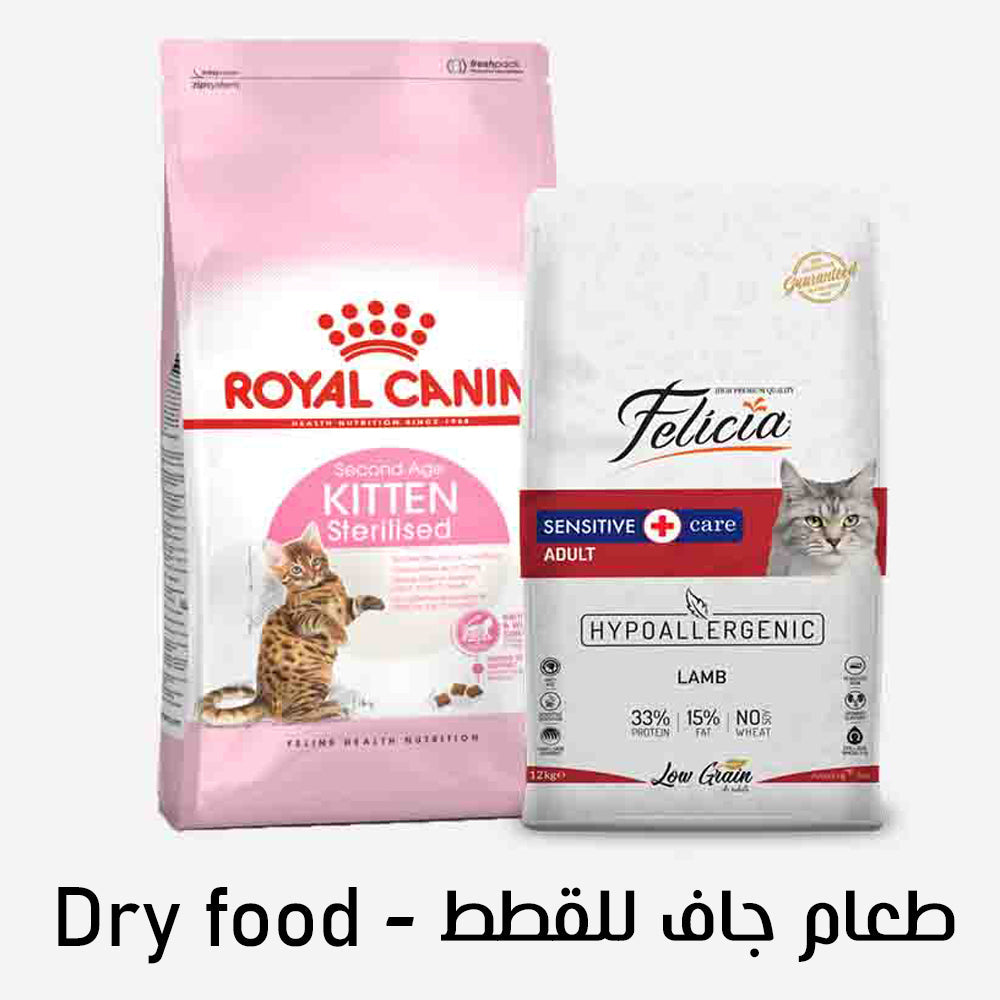 Dry food طعام جاف