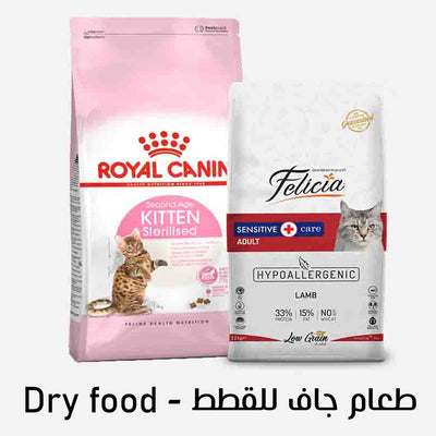 Dry food طعام جاف