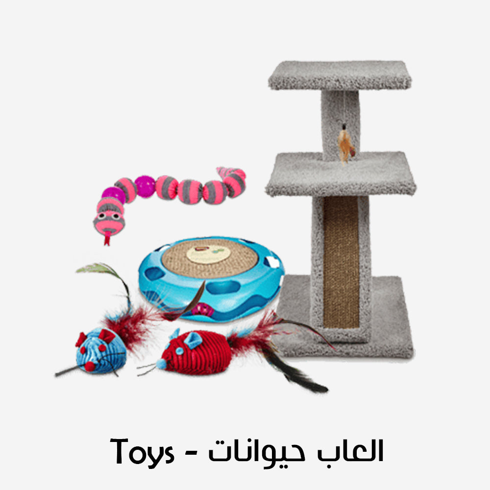 Toys العاب