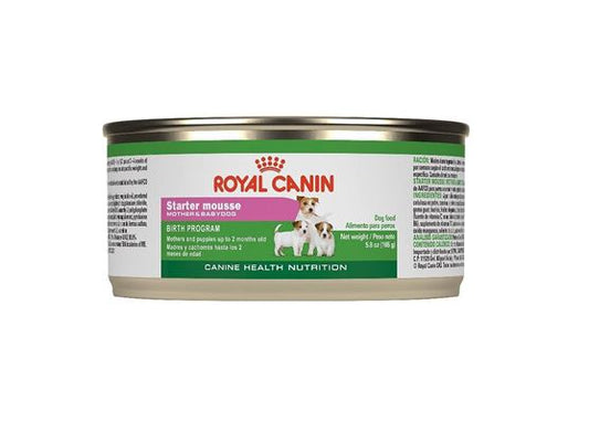 Royal Canin ® Starter Mousse (6 can)