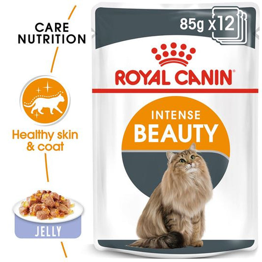 Royal Canin Intense Beauty in Jelly (12/pack)