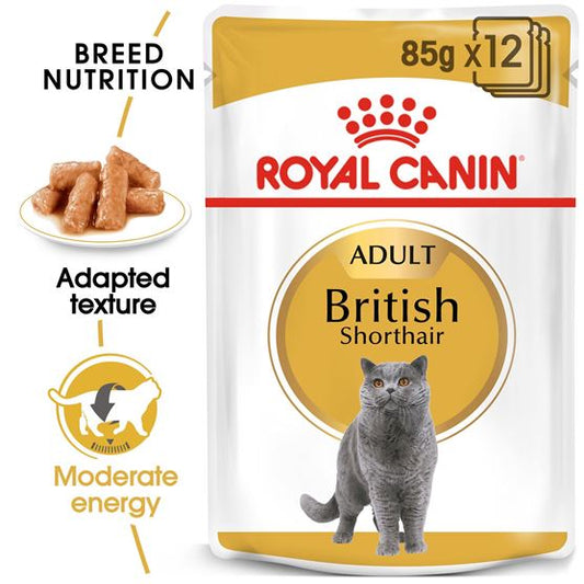 Royal Canin® British Shorthair (12/pack)