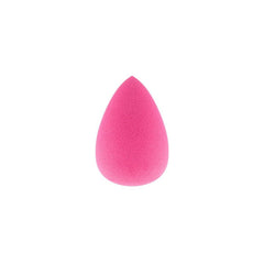 PIERRERENE BRUSHES BEAUTY SPONGE 17
