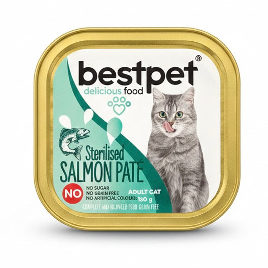 Bestpet pate 100g salmon معلب مطحون بنكهة السالمون
