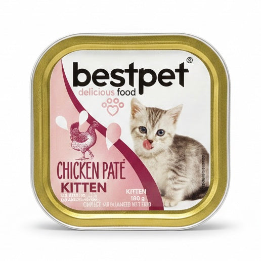 Bestpet pate 100g kitten معلب مطحون قطط صغيرة