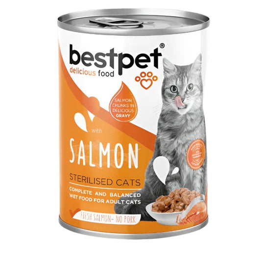 Bestpet gravy chunks 400g salmon معلب قطع بالمرق بنكهة السالمون