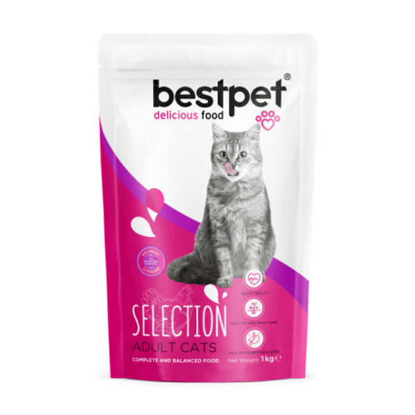 Bestpet With Chicken Adult Cats Dry Food 1KG