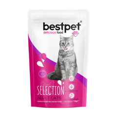 Bestpet With Chicken Adult Cats Dry Food 1KG